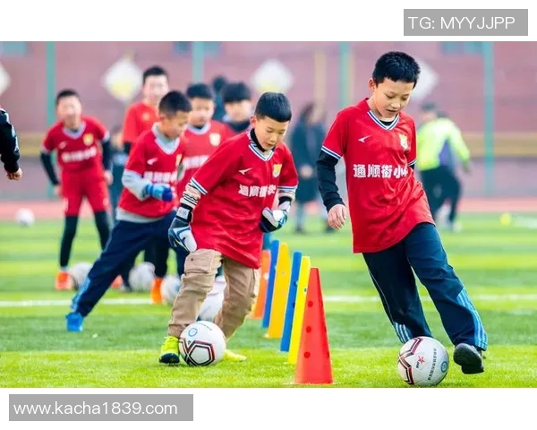 尊重中国足球球星的贡献与精神：他们为中国足球发展做出的不懈努力